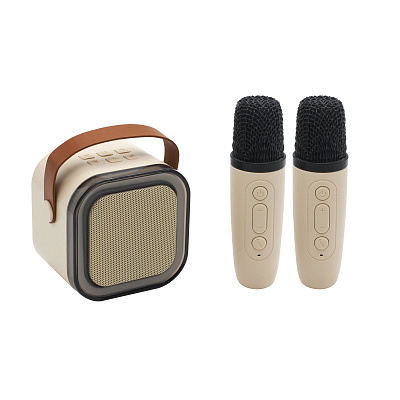 Караоке станция "Duet"  (Бежевый)