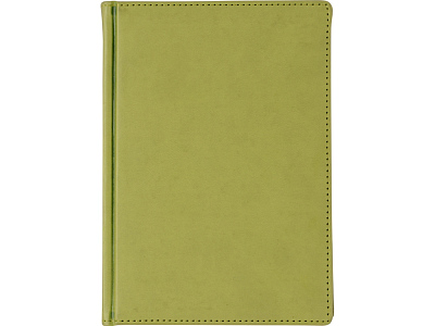 Ежедневник недатированный А5 Velvet