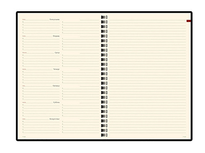 Еженедельник недатированный А5 Concept