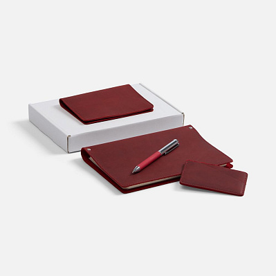 Набор inStream Maxi  (Красный)