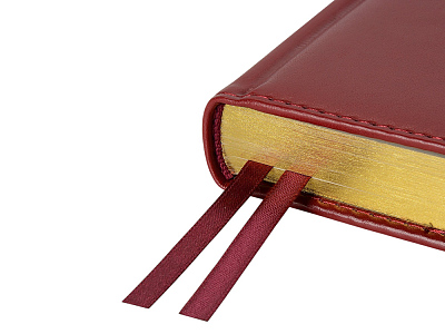 Ежедневник недатированный А5 Parliament