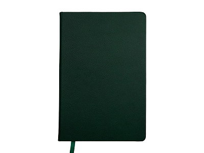 Ежедневник недатированный А5 Megapolis Loft