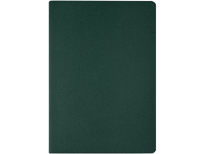 Бизнес тетрадь А5 Pragmatic