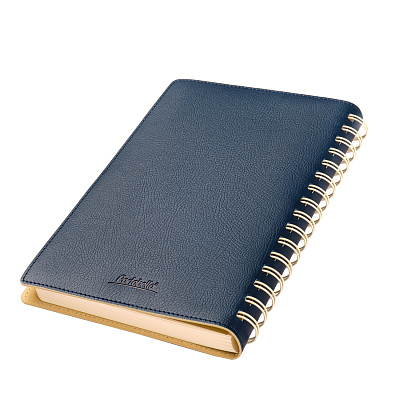 Ежедневник Виста (Vista) недатированный, синий/бежевый