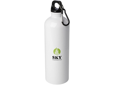 Одностенная бутылка для воды с карабином Oregon, 750 мл