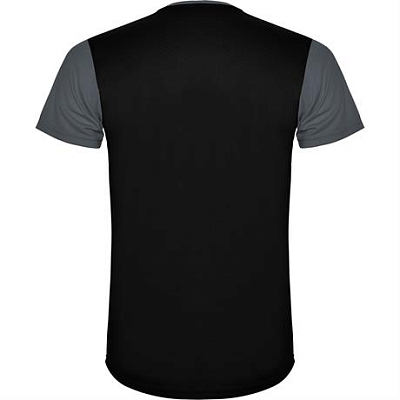 Спортивная футболка DETROIT мужская, ПАЛИСАНДР/ЧЕРНЫЙ 2XL