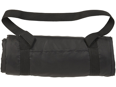 Плед Picnic с ремнем для переноски