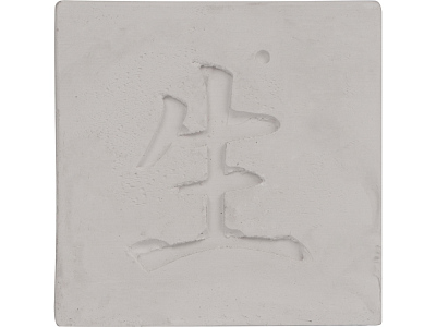 Подарочный набор Вырасти Бонсай дома. Сосна