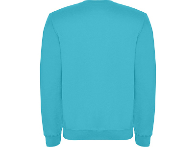 Свитшот с начесом Clasica унисекс