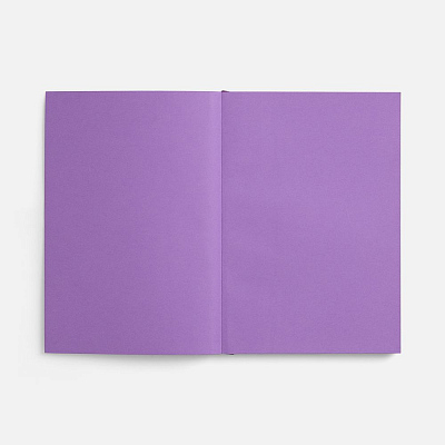 Ежедневник Flat, недатированный, фиолетовый, ver.2