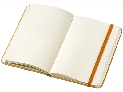 Блокнот А6 Dictum