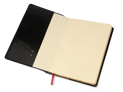 Ежедневник полудатированный портфолио А5 Profy