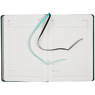 Ежедневник Alanis, недатированный, черный с голубым