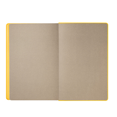 Ежедневник Рейн (Rain) недатированный, желтый (без упаковки, без стикера)