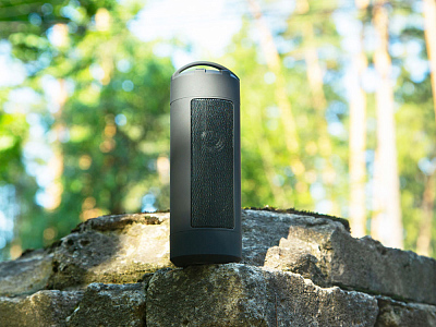 Портативная колонка Rover с защитой от воды 