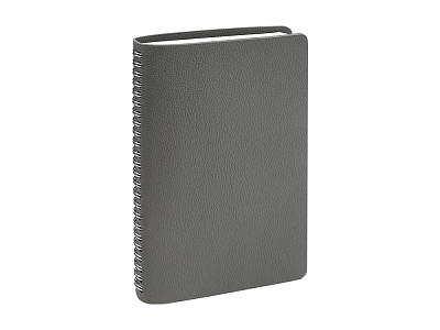 Ежедневник недатированный А5 Alba