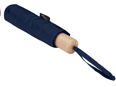 Зонт складной Дейн