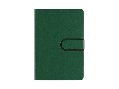 Ежедневник недатированный А5 Status