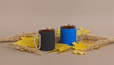 Кружка с карабином "Юта" 300 мл, покрытие soft touch, черный