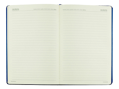 Ежедневник недатированный А5 Megapolis