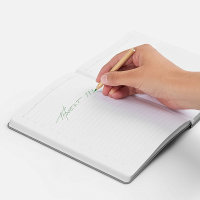 Набор цветных карандашей Pencilvania Mini, крафт