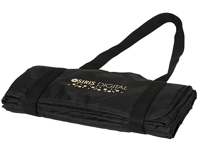 Плед Picnic с ремнем для переноски