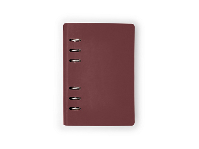 Ежедневник недатированный А5 Firenze