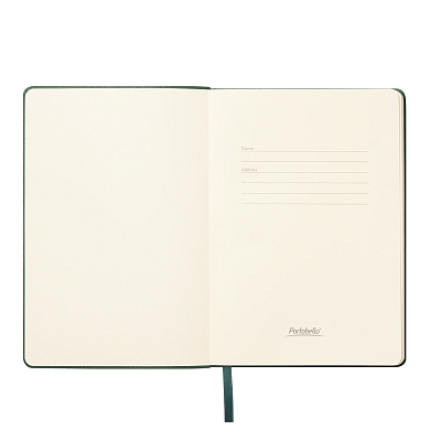 Ежедневник Верона (Verona) недатированный, зеленый (без упаковки, без стикера)