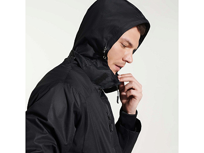 Парка Alaska мужская