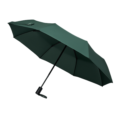 Зонт складной Пассат (Passat)  (Зеленый)
