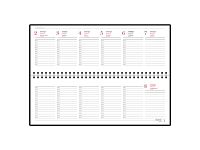 Планинг датированный Ideal New на 2025 год