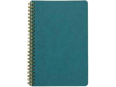 Бизнес тетрадь А5 Pragmatic