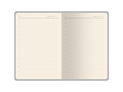 Ежедневник недатированный А5 Boston