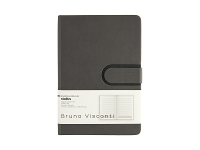 Ежедневник недатированный А5 Status