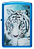 Зажигалка ZIPPO White Tiger с покрытием High Polish Blue, латунь/сталь, синяя, 38x13x57 мм - Фото 2