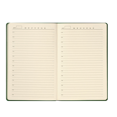 Ежедневник Rain недатированный, зеленый