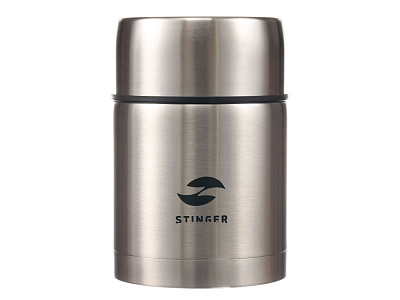 Термос ланч-бокс, 700 мл (Серебристый)