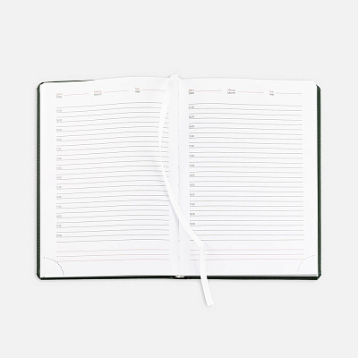 Ежедневник Sagrin, недатированный, зеленый