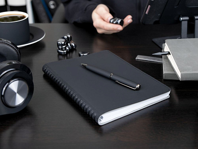 Ручка шариковая Inkish Gunmetal в футляре, белая