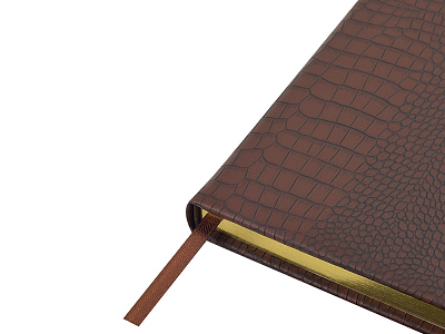 Ежедневник недатированный А5 Amazonia