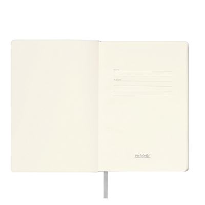 Ежедневник Спарк (Spark) недатированный, серебряный (без упаковки, без стикера)