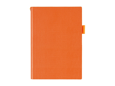 Ежедневник недатированный А5 Grand