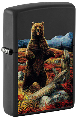 Зажигалка ZIPPO Linda Picken с покрытием Black Matte, латунь/сталь, черная, 38x13x57 мм (Черный)