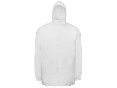 Ветровка Miami 2.0 мужская