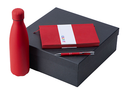 Подарочный набор Color it с блокнотом, металлической ручкой и термобутылкой (Красный)