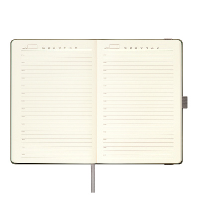 Ежедневник Альфа (Alpha) недатированный, серый/бирюзовый