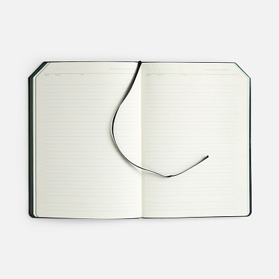 Ежедневник Espresso, недатированный, зеленый