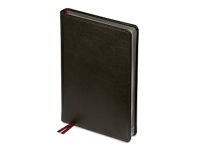 Ежедневник недатированный А5 Parliament