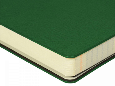 Ежедневник недатированный А5 Megapolis Flex Smart