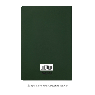 Ежедневник Spark недатированный, зеленый (без упаковки, без стикера)